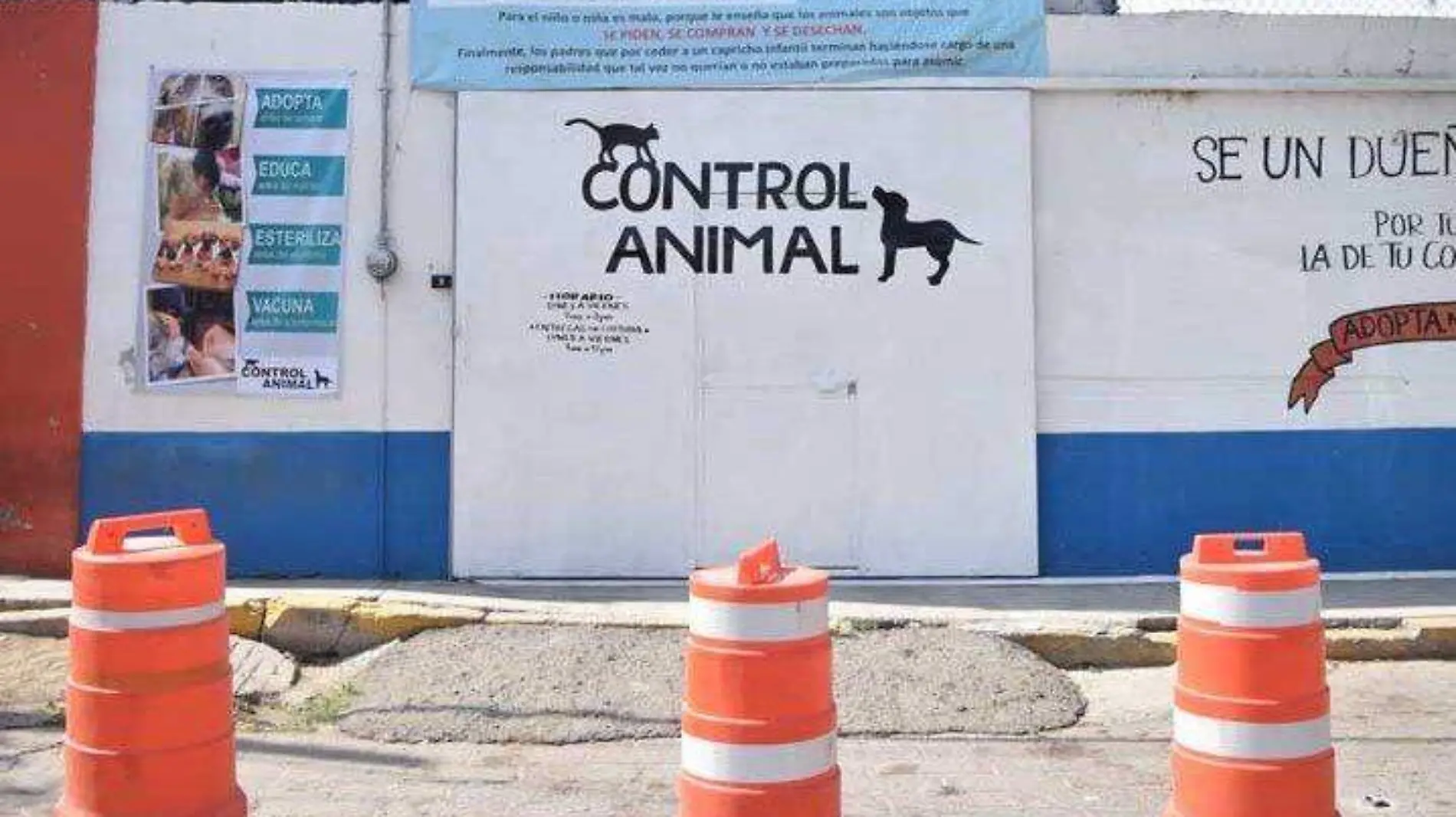 control anumal